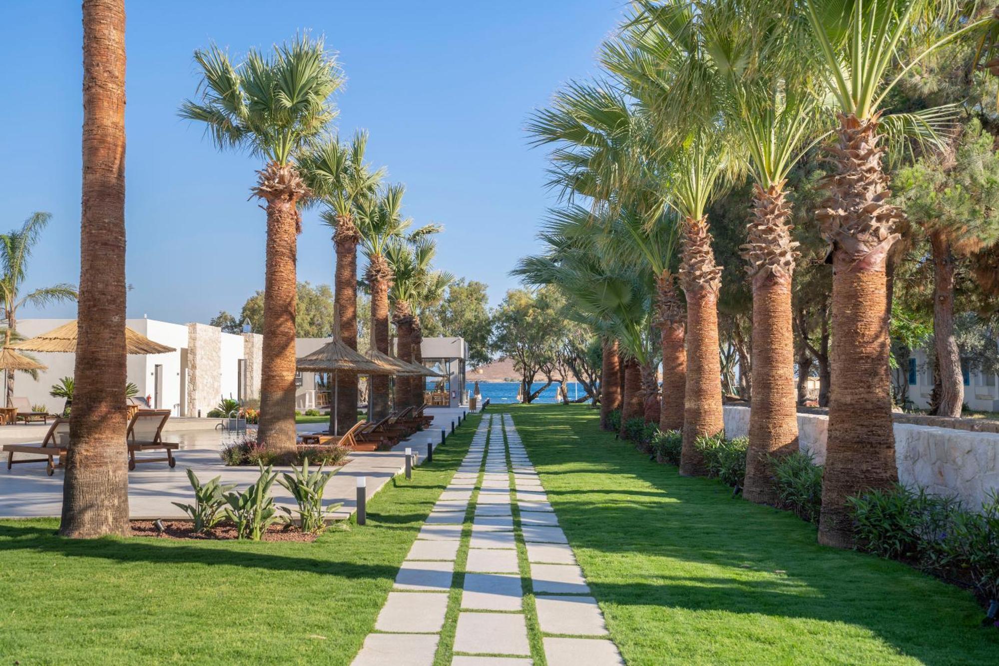 Regia Mare Beach Hotel & Spa Bodrum Ortakent Buitenkant foto